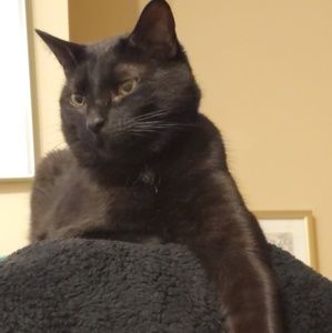 Meet your Posher, Justin